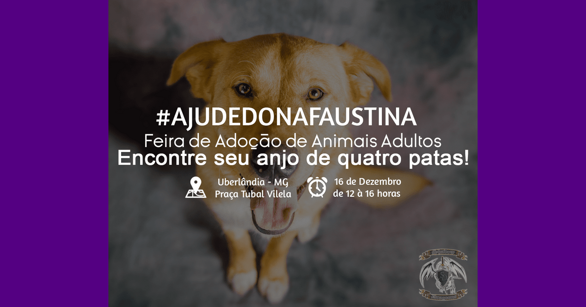 Feira é organizada por protetores para ajudar idosa que cuida de mais de 40 cães!